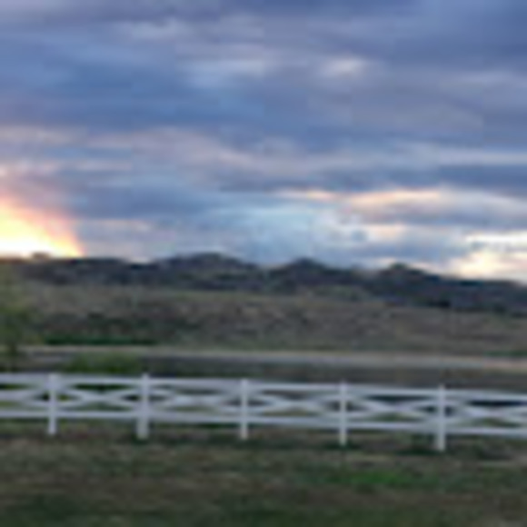 dannerbarn